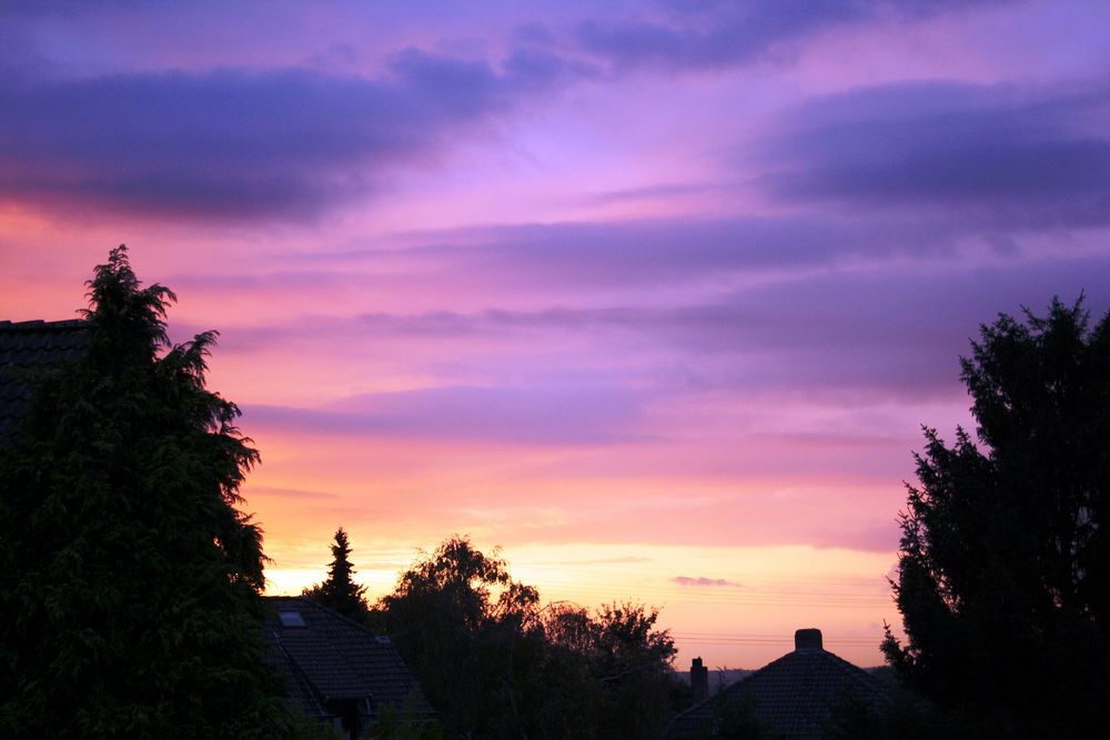 Purple sky...