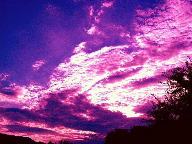 Purple Sky