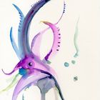'purple squid'