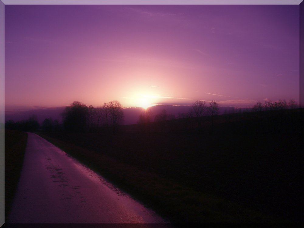 Purple Sundawn