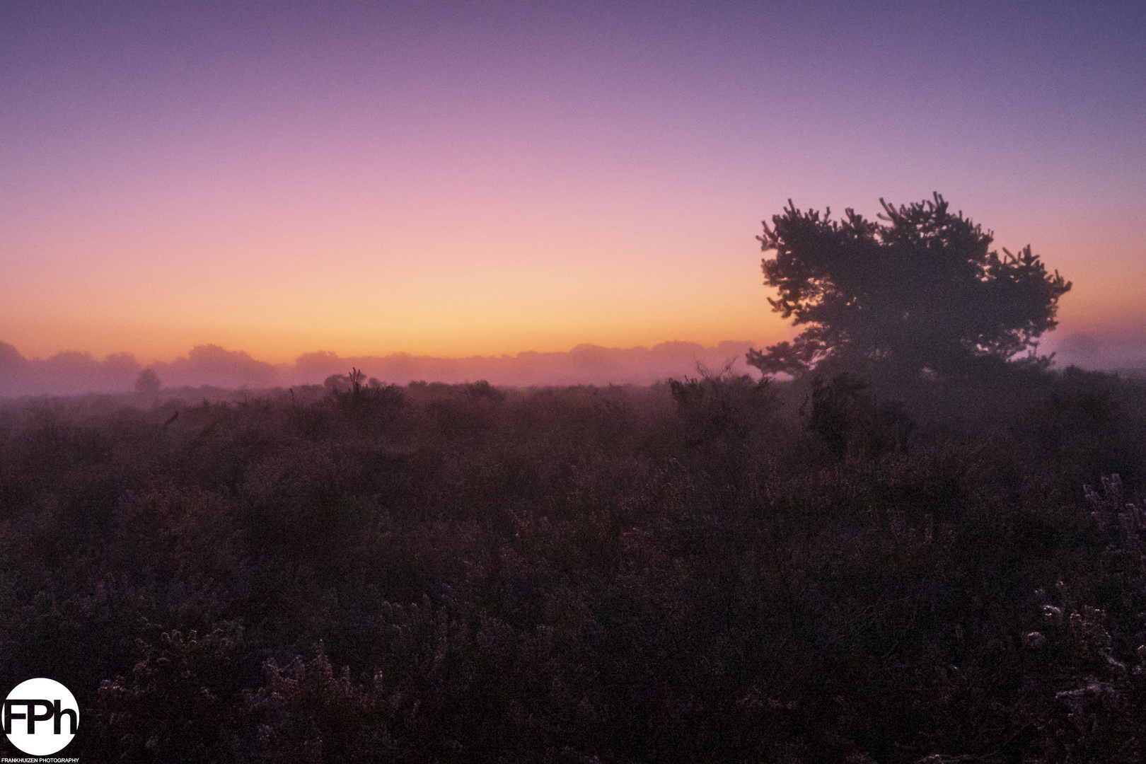 Purple Sunrise over Moorland