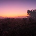 Purple Sunrise over Moorland