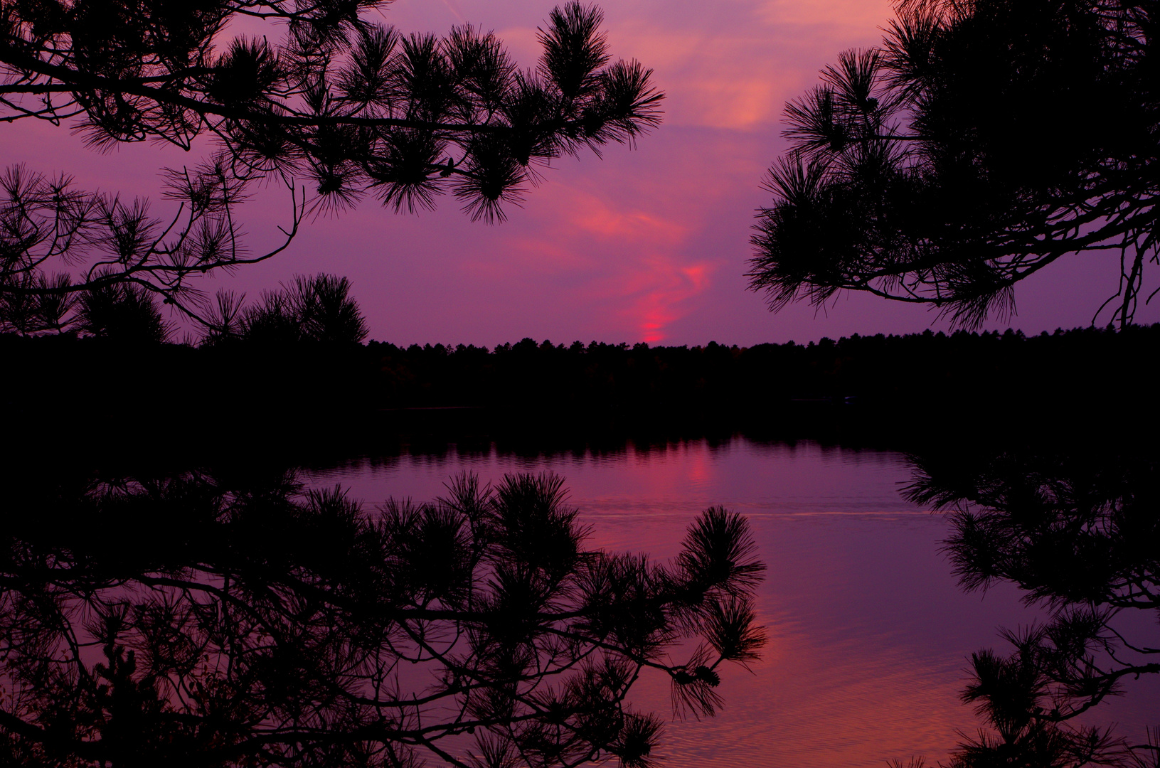 Purple Sunset