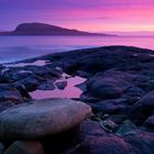 Purple sunset