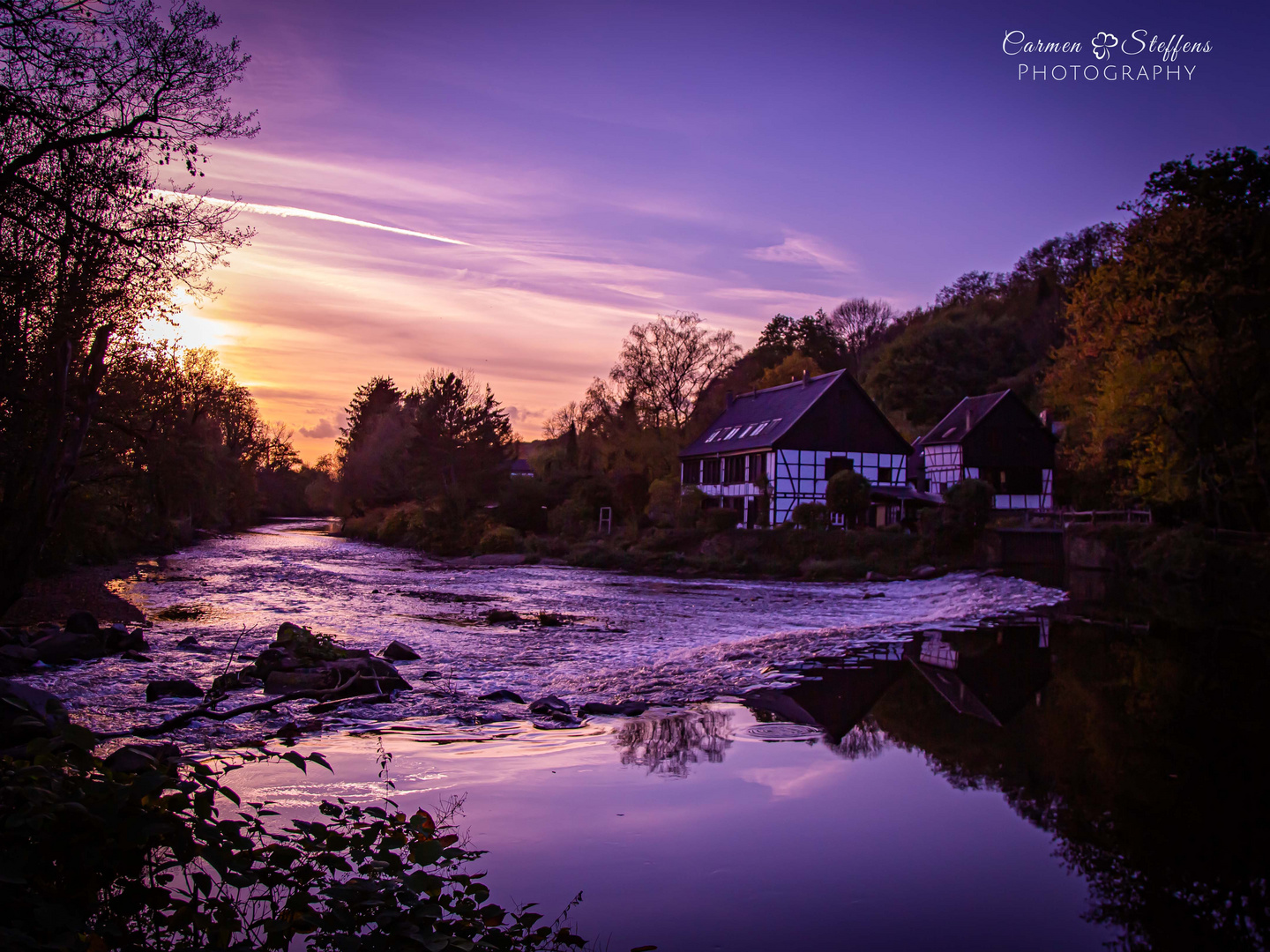 Purple Sunset