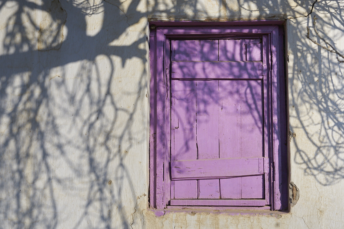 purple window