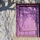 purple window