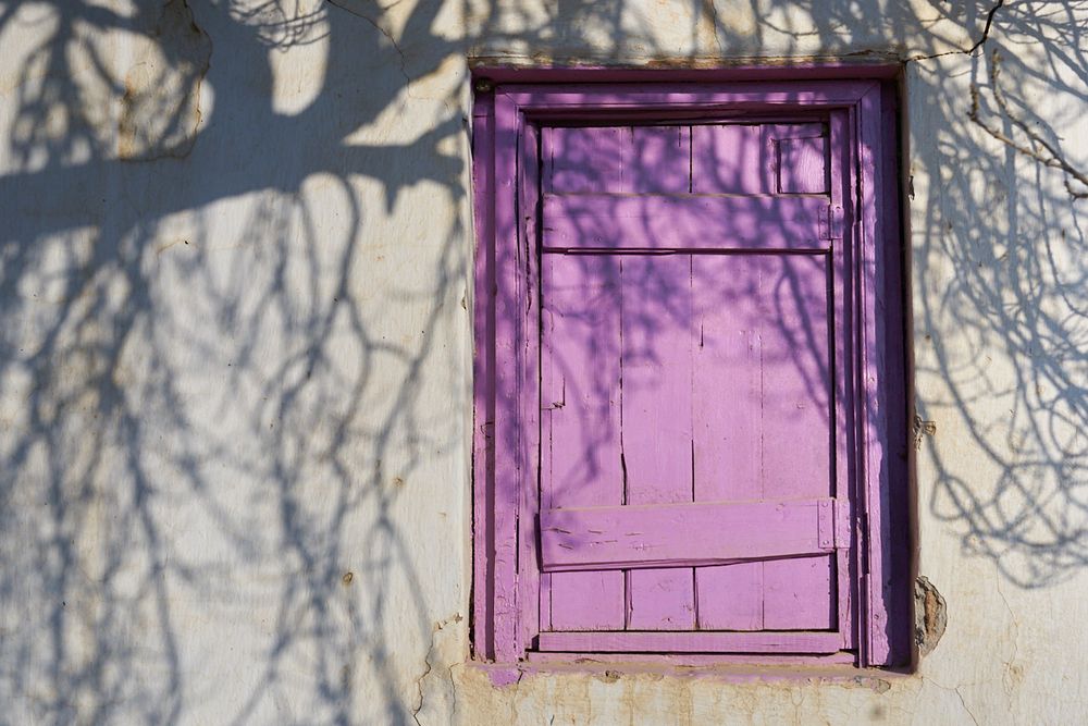 purple window