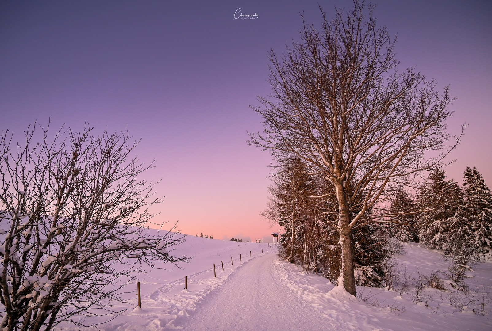 Purple Winter Sky