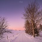 Purple Winter Sky