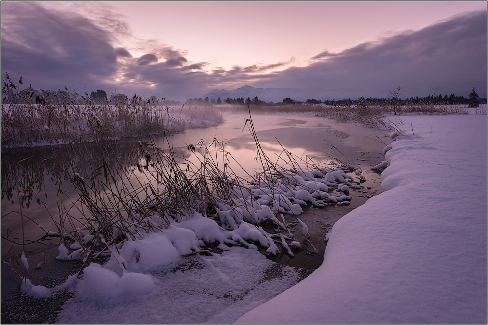 Purpur Foto & Bild | gefroren, kalt, wasser Bilder auf ...