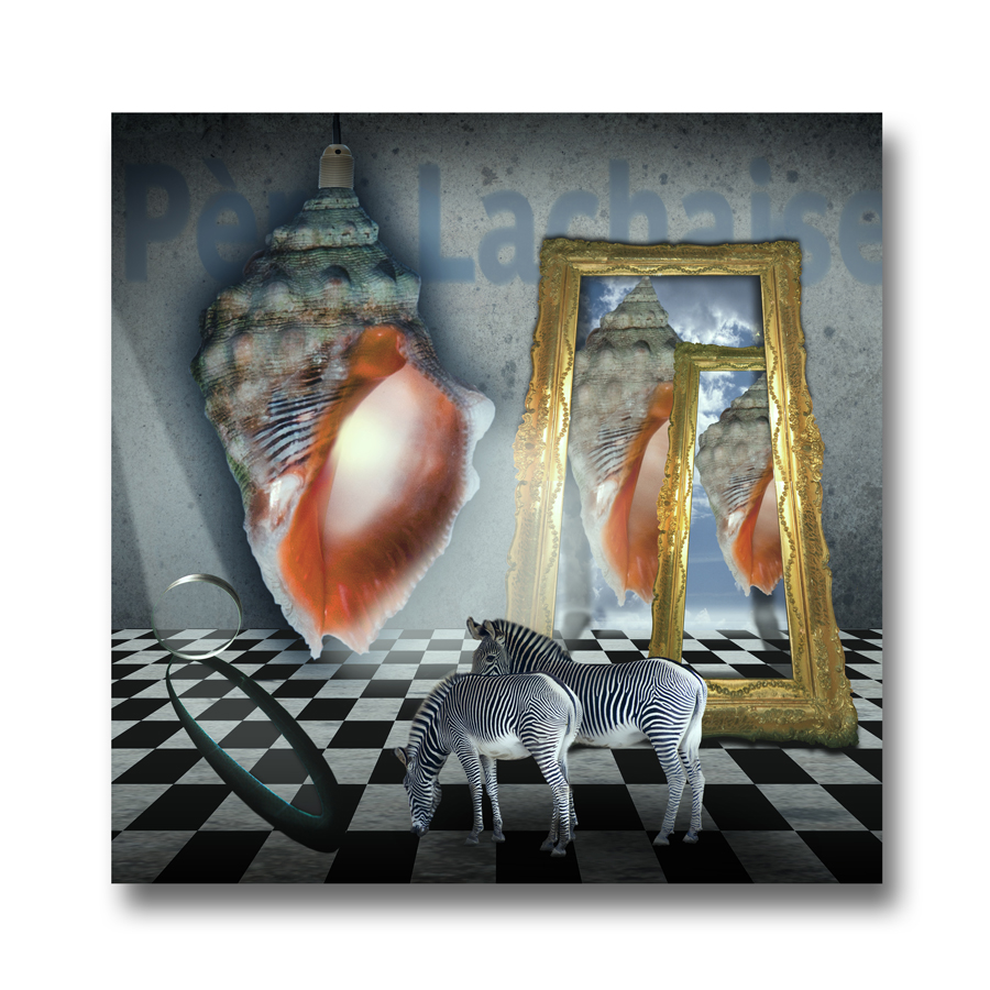 Purpurschnecke Foto & Bild | fotomontage, surreal ...