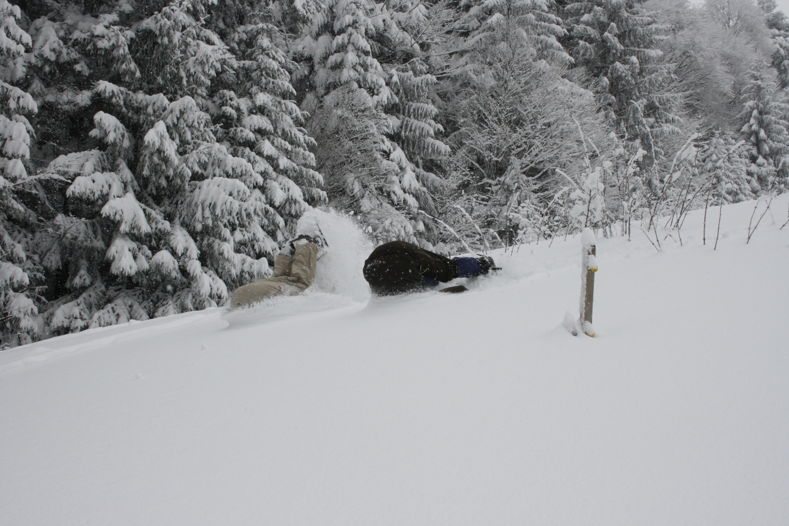 Purzelbaum im Tiefschnee