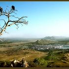 Pushkar