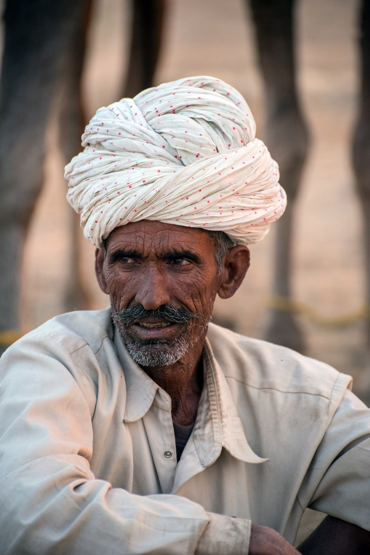 Pushkar camel fair 3