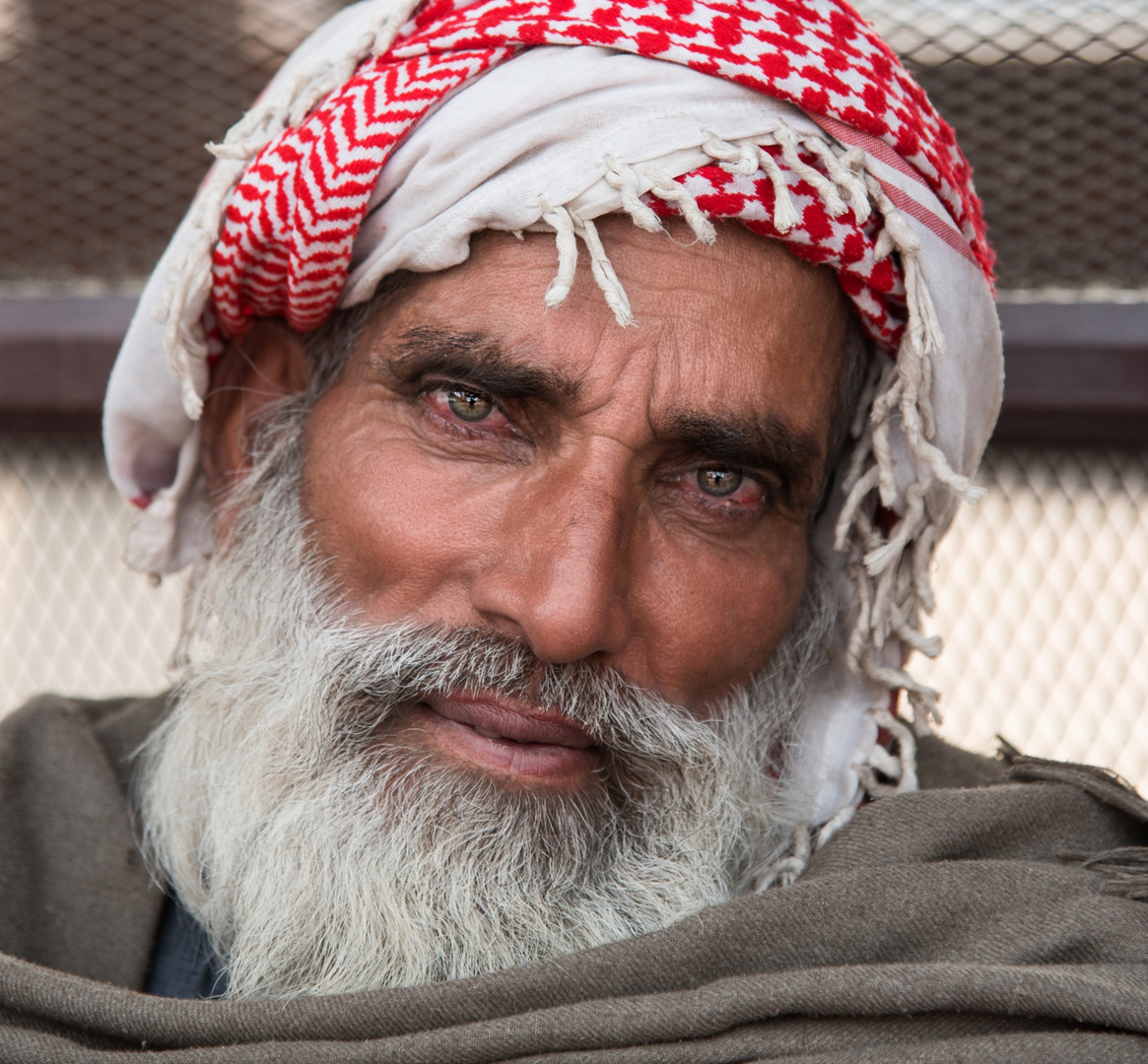 Pushkar camel fair