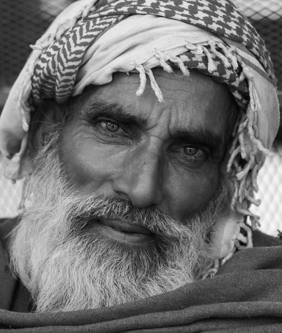 Pushkar camel fair bw