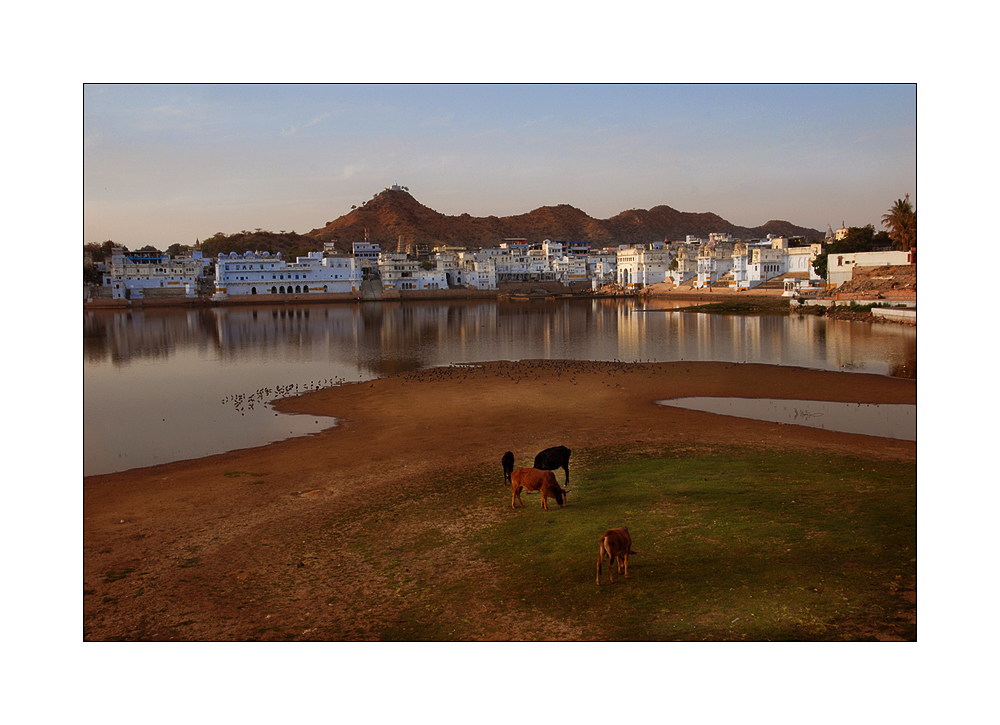 Pushkar im Abendlicht