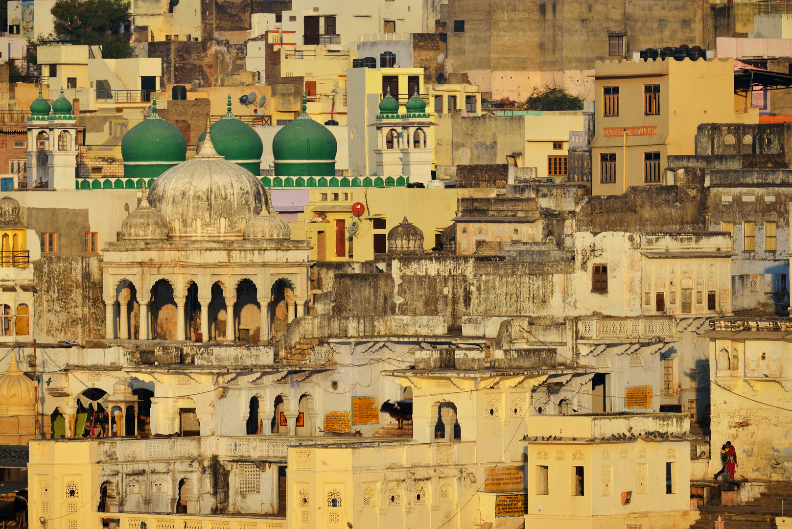 Pushkar in der Morgensonne