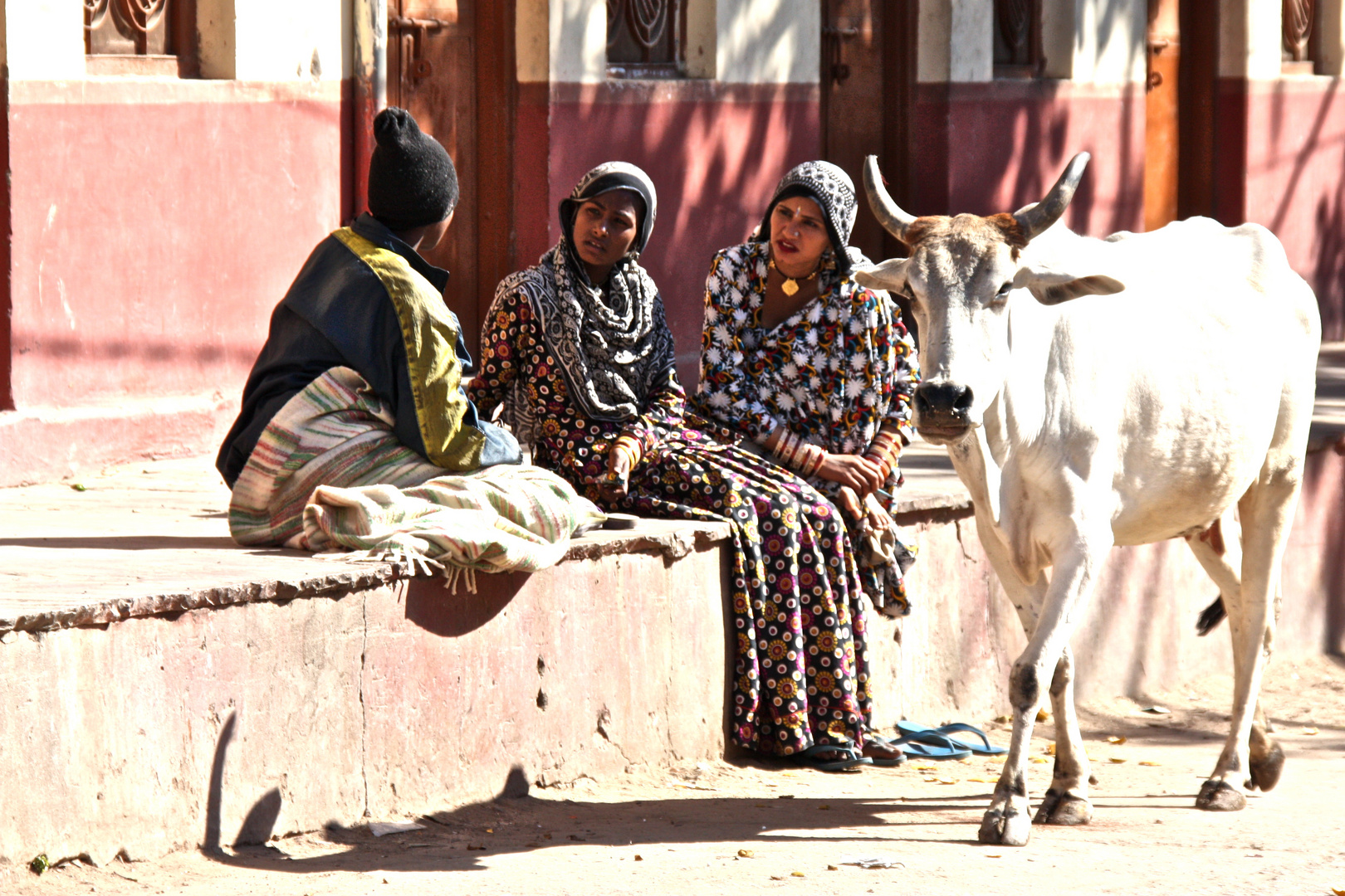 Pushkar, Indien 2009