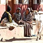 Pushkar, Indien 2009