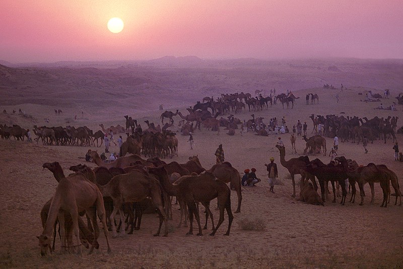 Pushkar, Indien