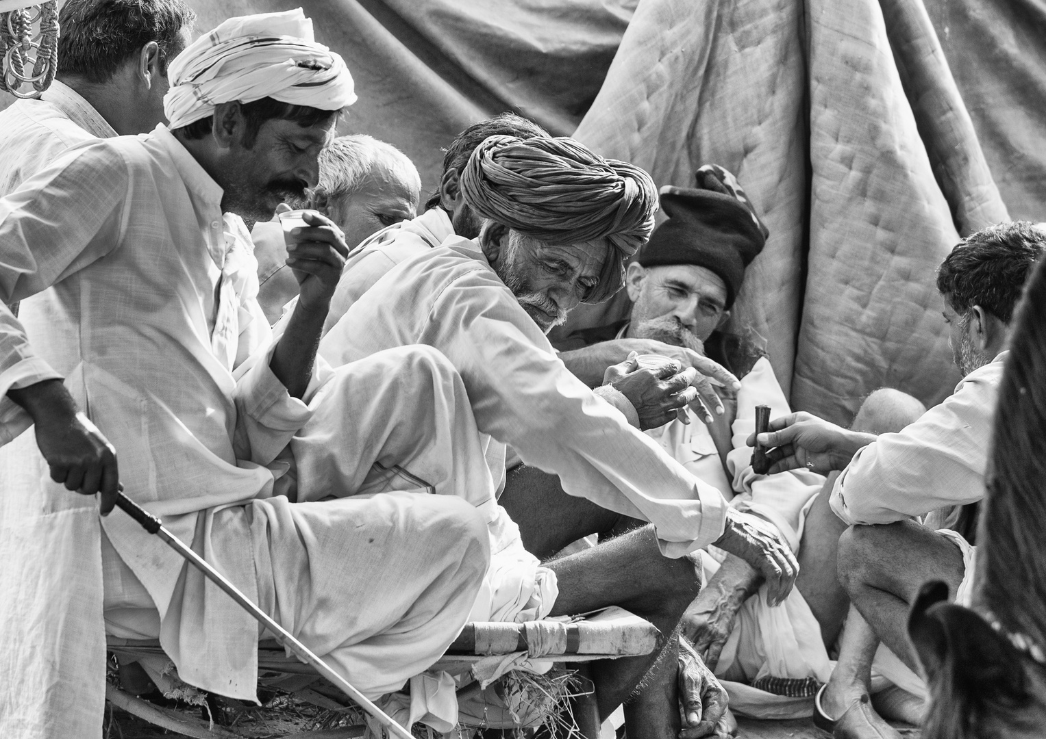 Pushkar - Kamelmarkt