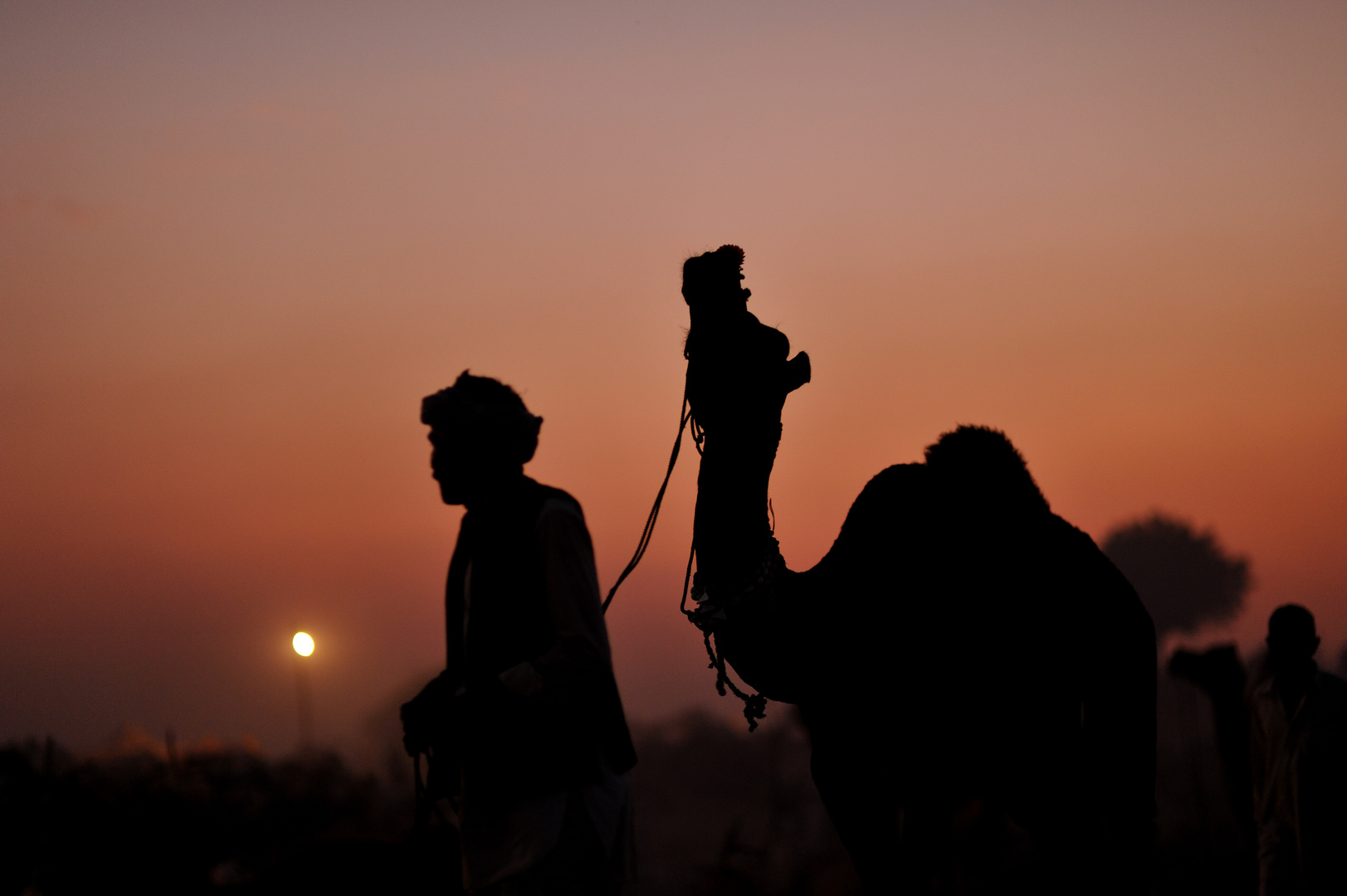 Pushkar Mela (2)