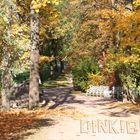 Pushkin, Ekaterinensky Park