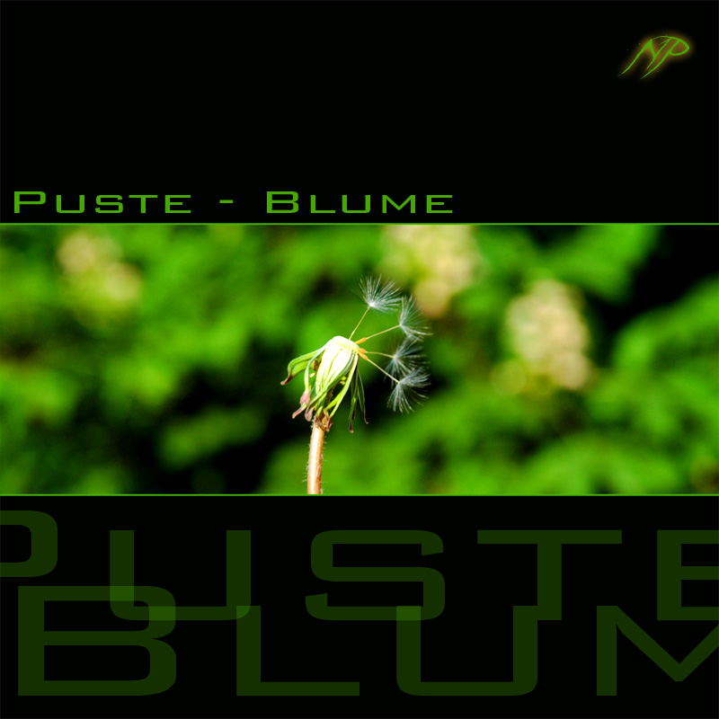 [ Puste - Blume #1 ]