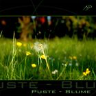 [ Puste - Blume #2]