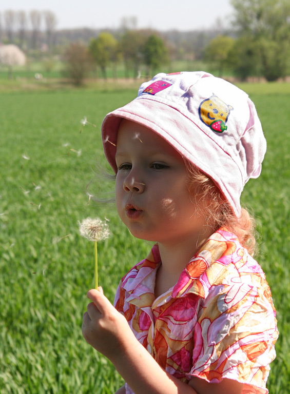 Pusteblümchen !