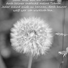 ~~ Pusteblume ~~