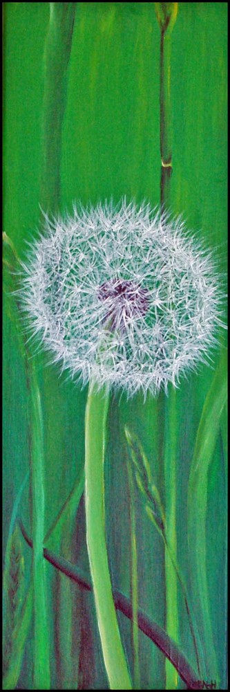 Pusteblume