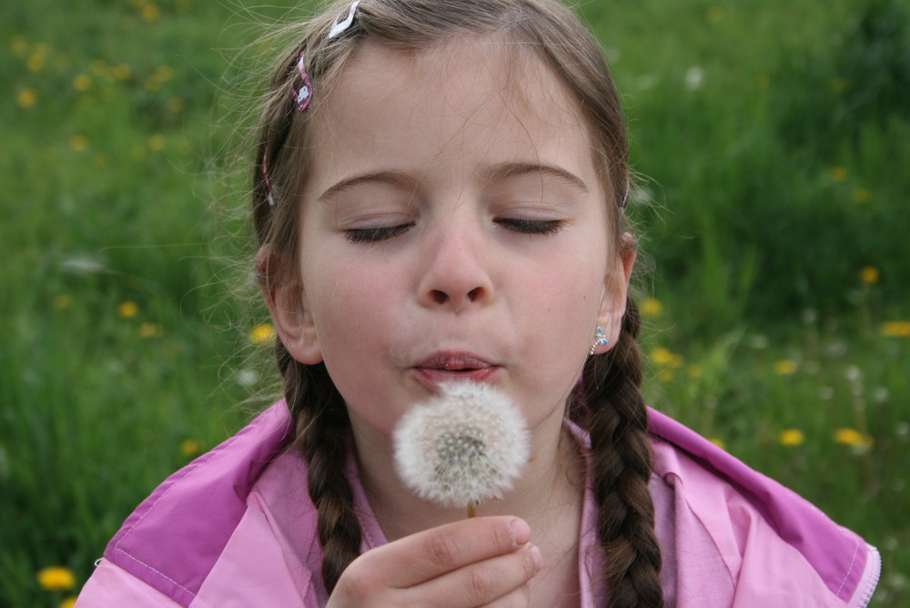 Pusteblume