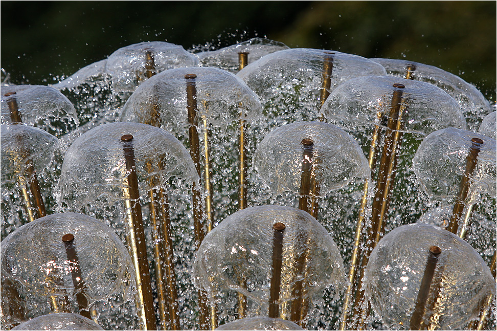 Pusteblume