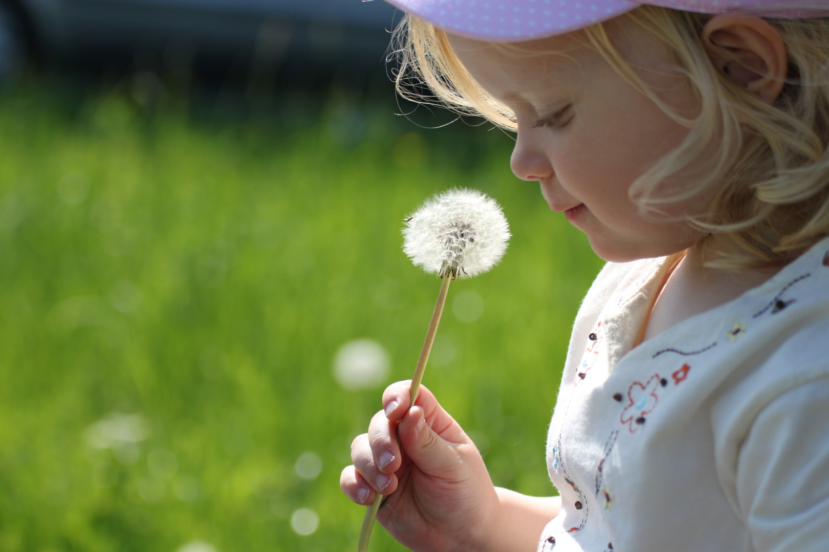 Pusteblume