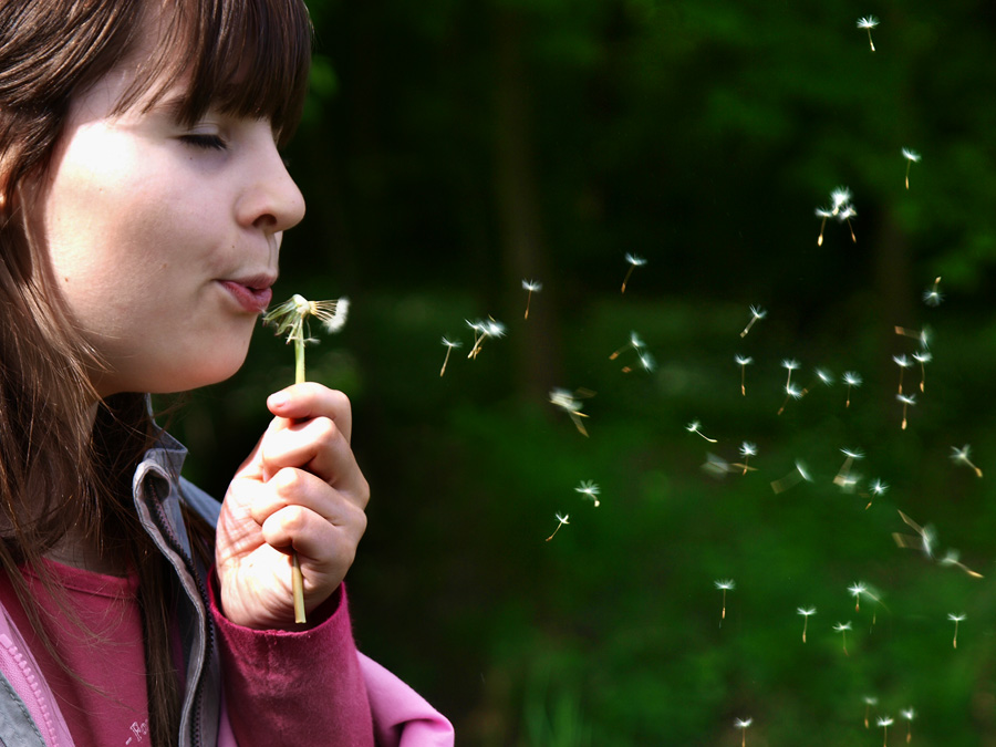 Pusteblume!