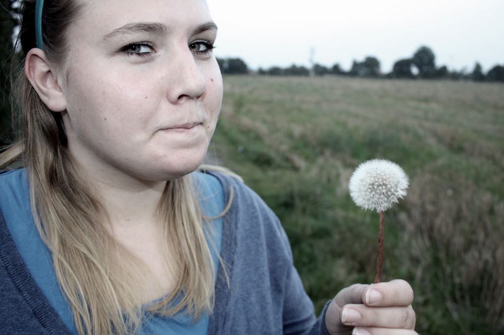 Pusteblume.