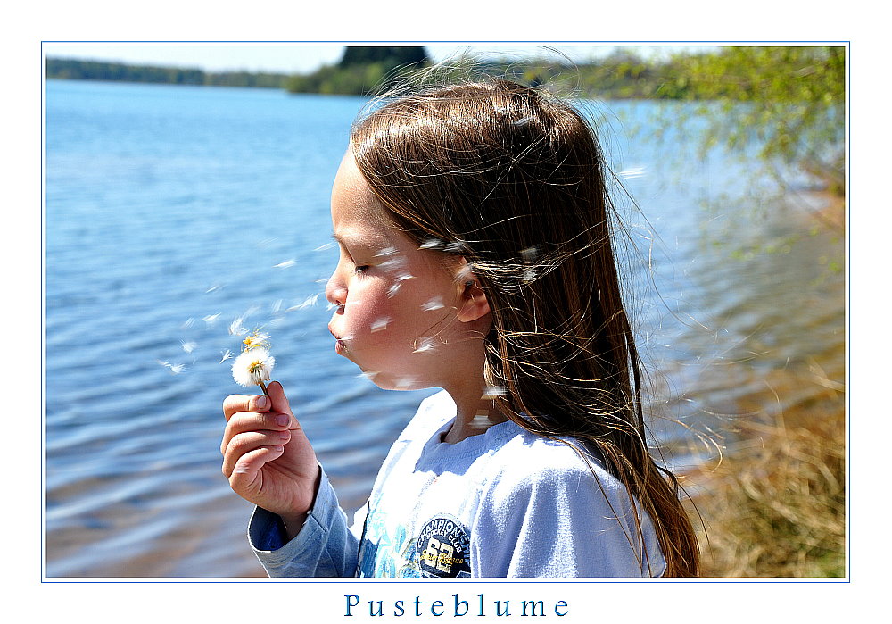 Pusteblume