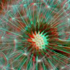 Pusteblume - Anaglyphe