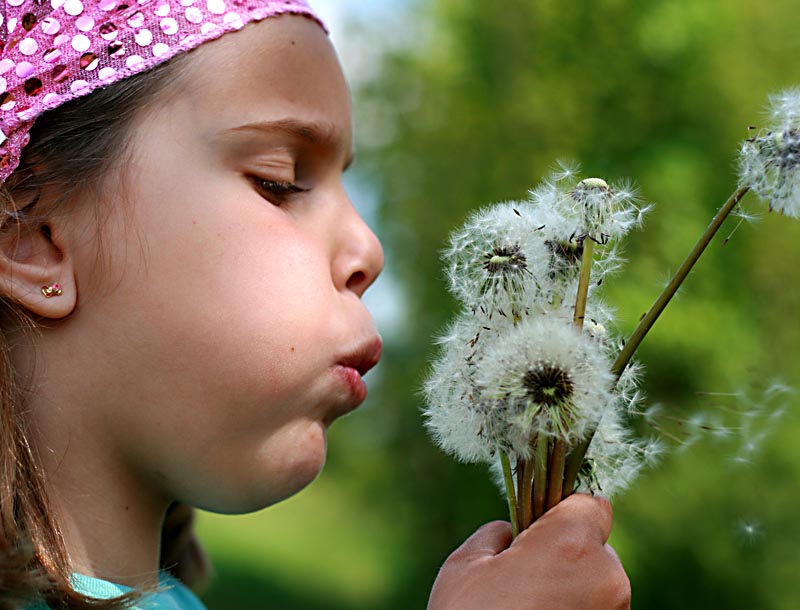 ~~ Pusteblume ~~