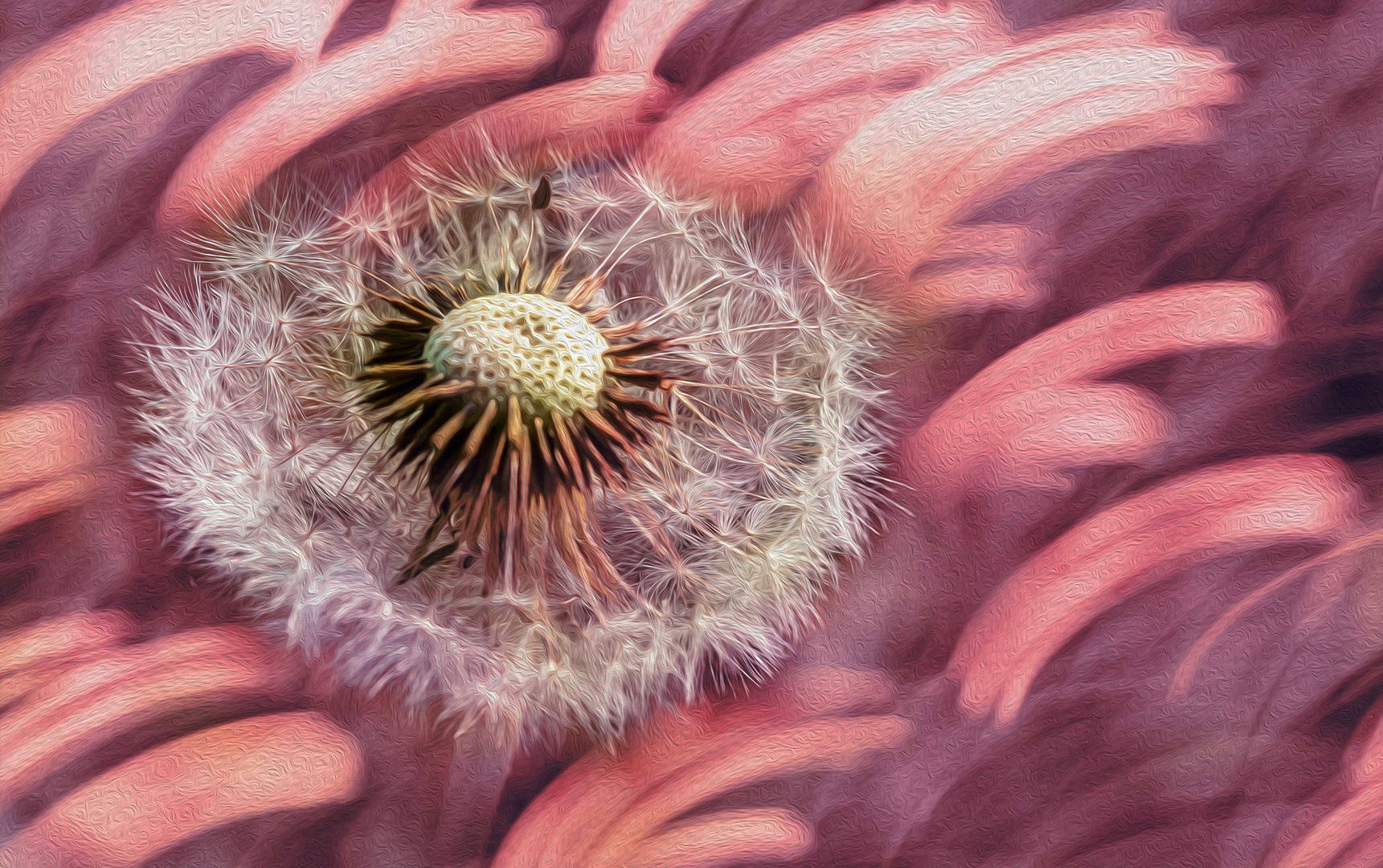 Pusteblume