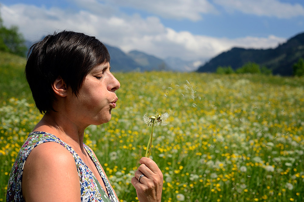 Pusteblume