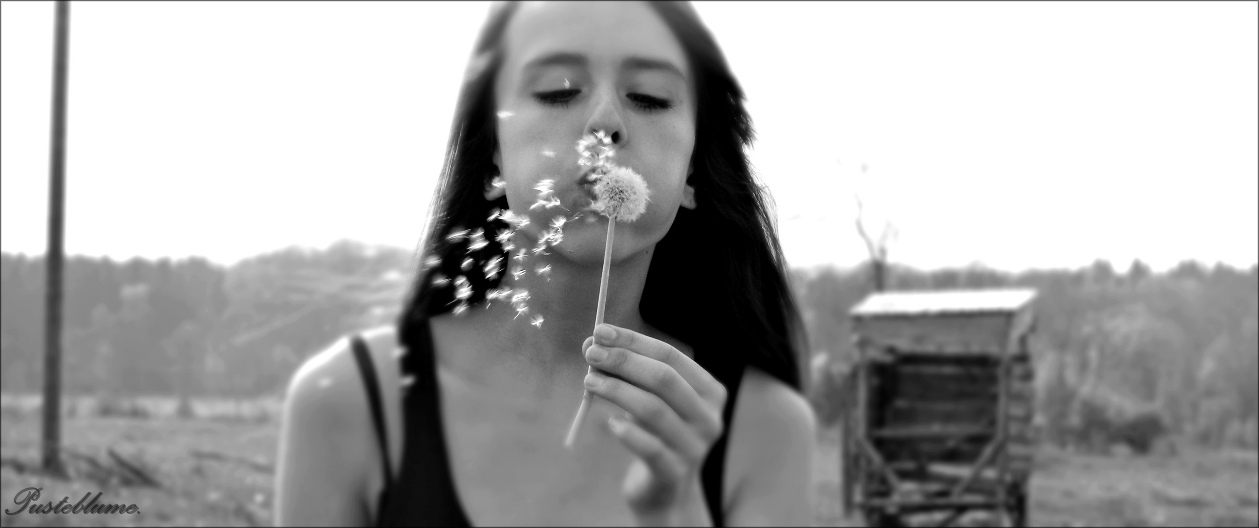 Pusteblume (: