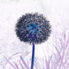 "Pusteblume" etwas verfremdet