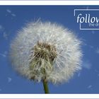 Pusteblume "Follow your Dream"