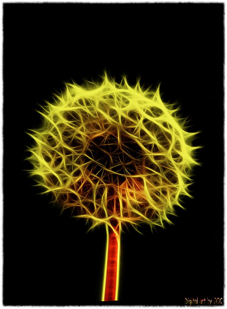 Pusteblume-Fractalius-