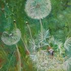 Pusteblume II