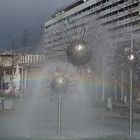 Pusteblume im Regenbogen